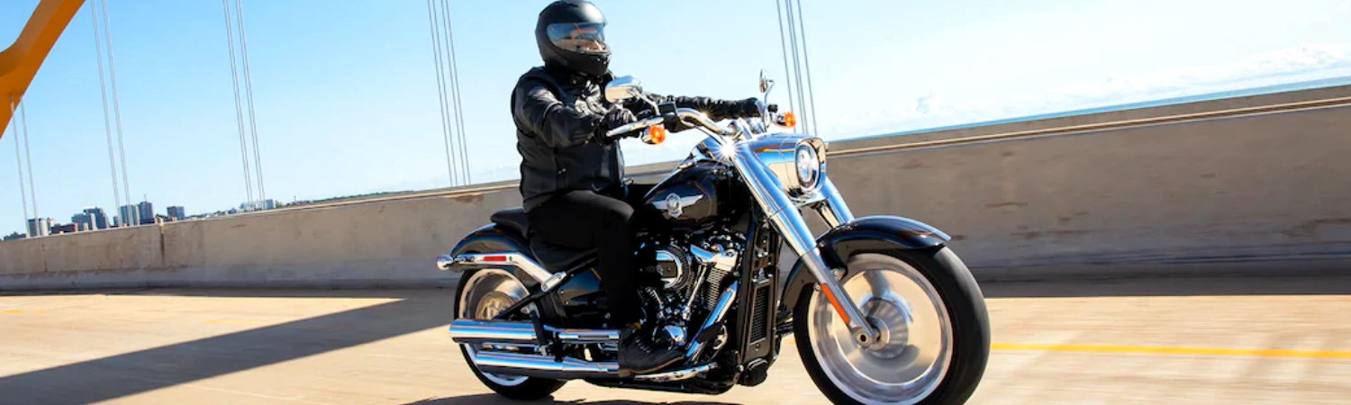 natchez trace harley