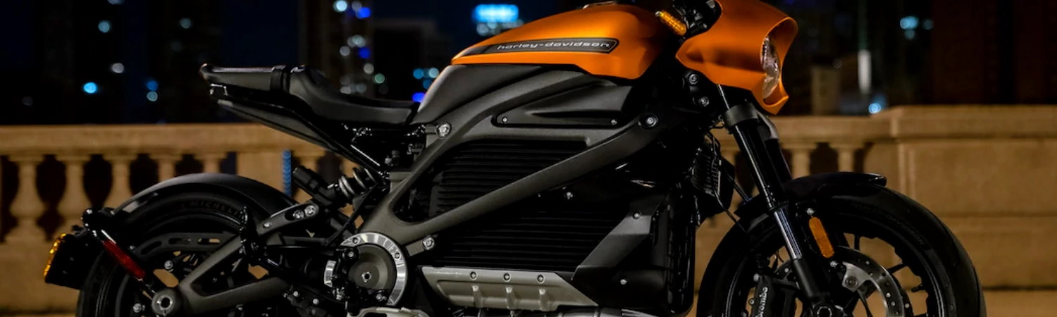 2021 Harley-Davidson® LiveWire® Motorcycle for sale in Natchez Trace Harley-Davidson®, Tuscumbia, Alabama